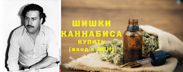 apvp Чекалин