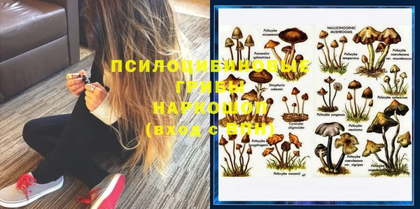 прущие крисы Чегем