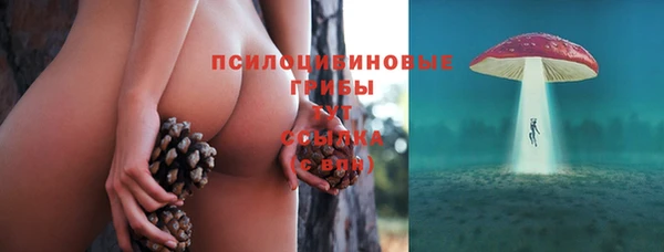 apvp Чекалин