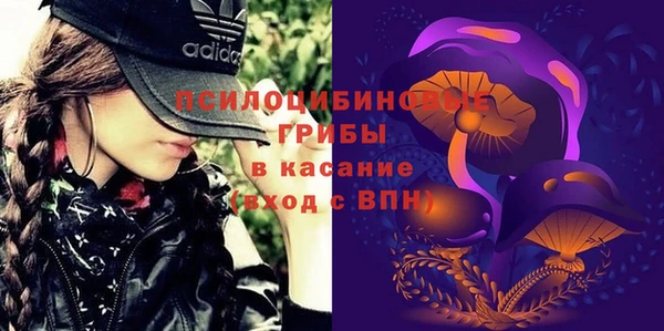 экстази Бородино