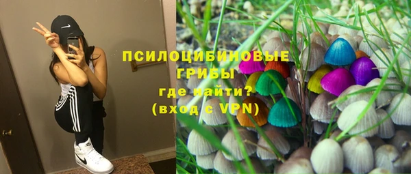 apvp Чекалин